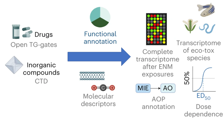 Bionano descriptors reveal particle toxicity mechanisms across species and ancestors